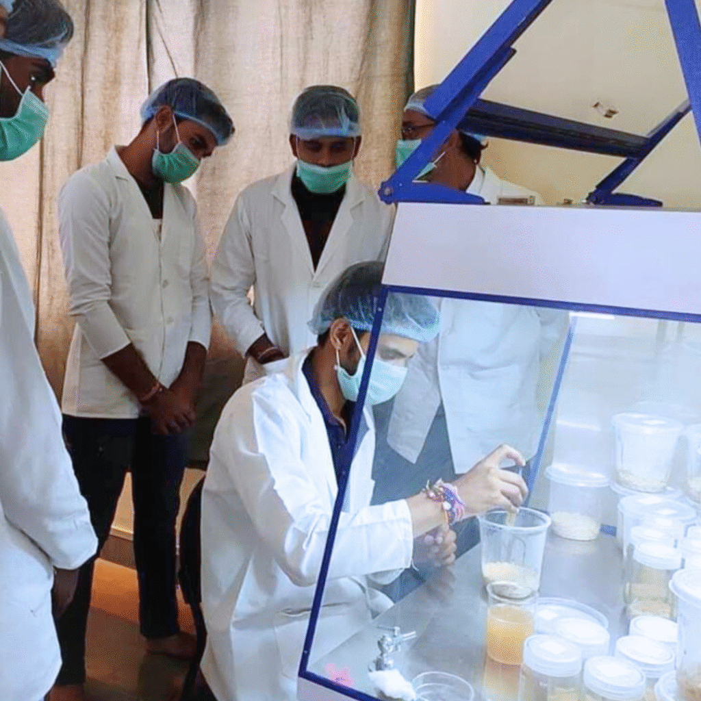 Lifecycle of a Mushroom