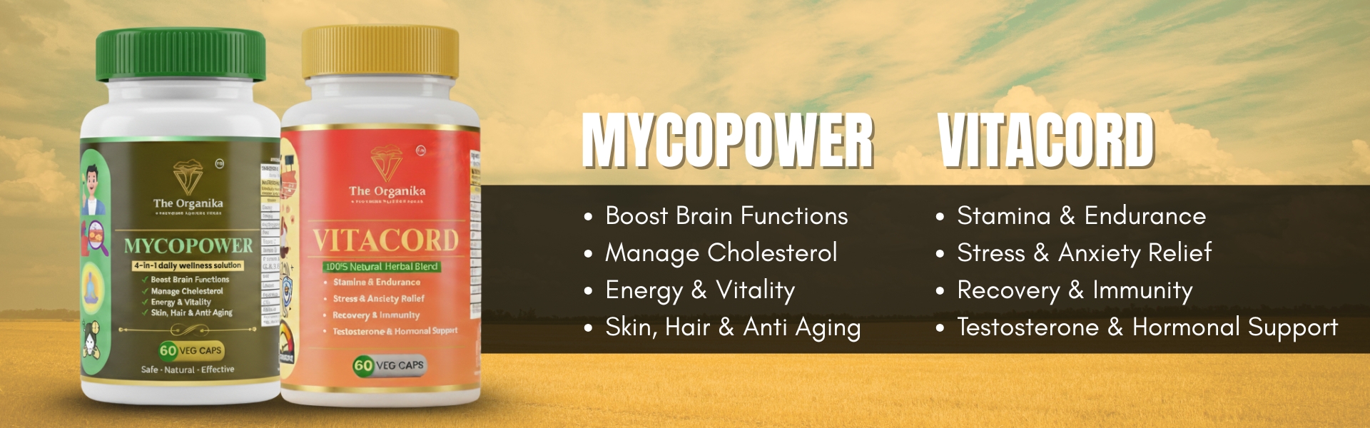 The Organika Banner (2)