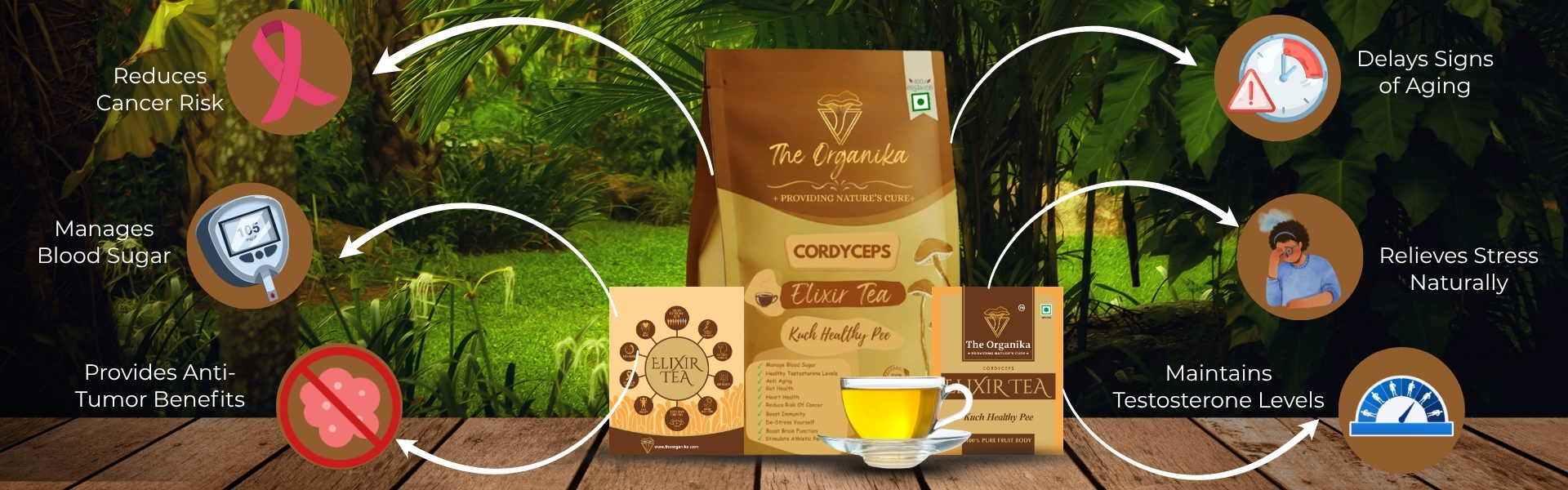 The Organika Banner (8)